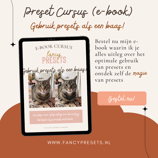 Preset cursus - Gebruik presets als een baas! (e-book)